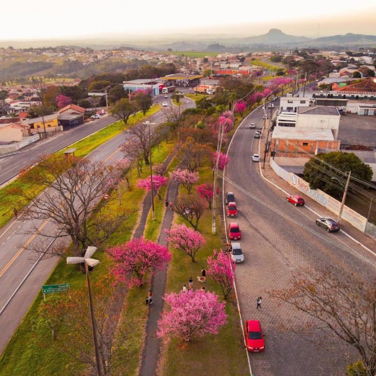 TCE-PR responde consulta da Câmara de Ibaiti e reforça limites legais de nomeação, acolhendo as teses do MPC-PR